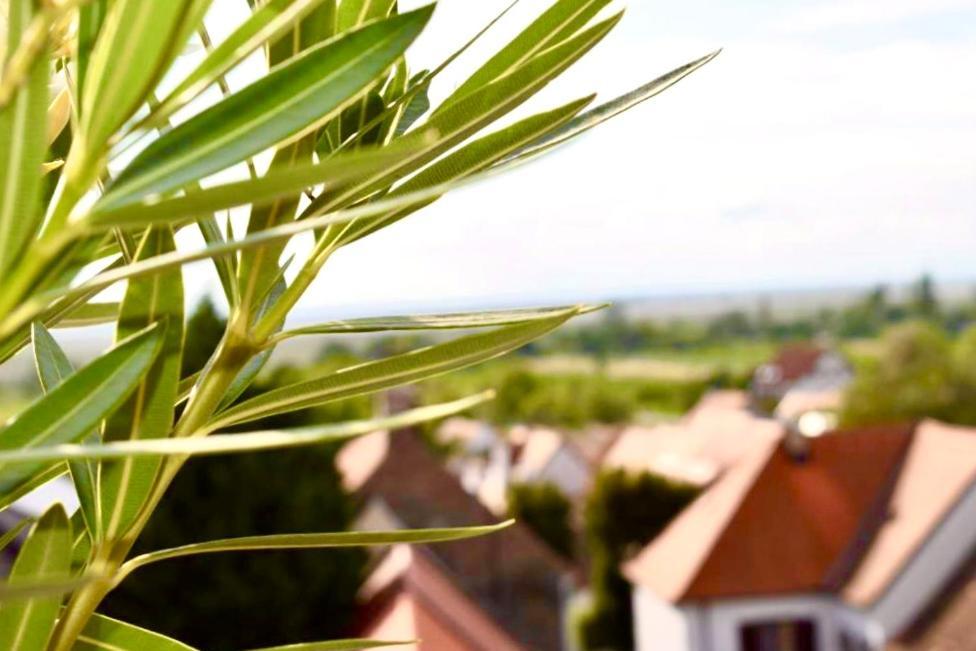 Pension Seeblick Moerbisch Am See Ngoại thất bức ảnh